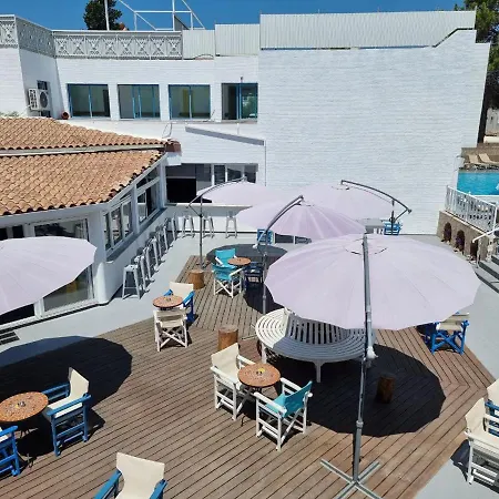 호텔 Nereus Hotel 파포스